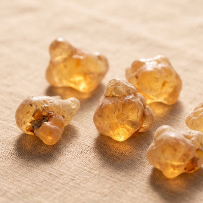 Boswellia